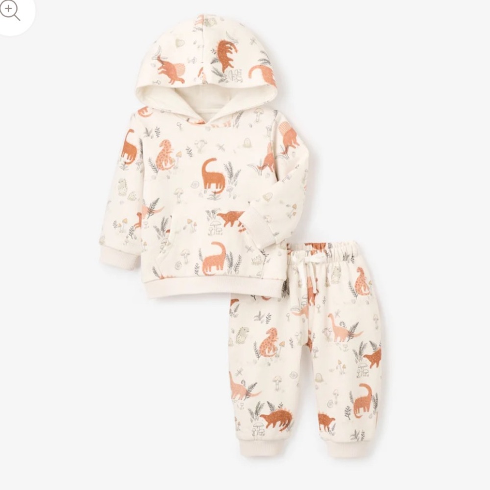 Elegant Baby Dino Sweatshirt and Jogger set